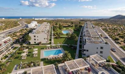 Apartment - Nouvelle construction - Vera - APRD-30424