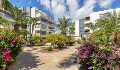 Apartment - Revente - Orihuela Costa - Ben-18407