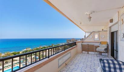 Apartment - Sale - Torrevieja - GI-94649