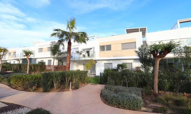 Apartment - Venta - Los Montesinos - Los Montesinos