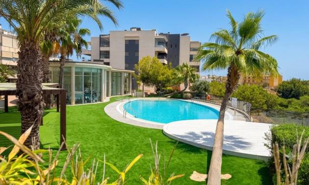 Apartment - Venta - Orihuela Costa - La Zenia