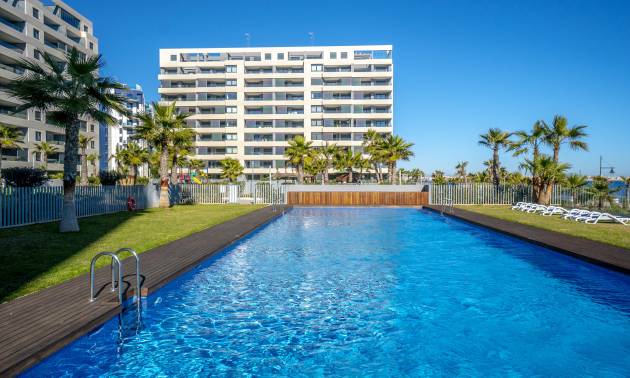 Apartment - Venta - Torrevieja - Punta Prima