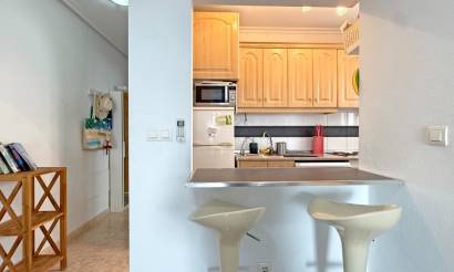 Appartment · Bestaande woningen · Torrevieja · Torrevieja