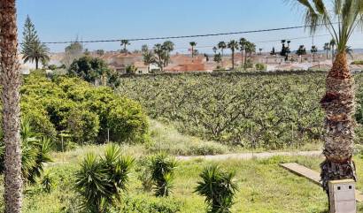 Bestaande woningen - Appartment - Ciudad Quesada - Ciudad Quesada - Doña Pepa