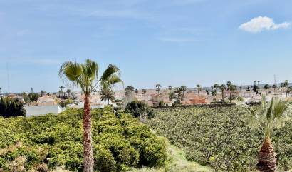 Bestaande woningen - Appartment - Ciudad Quesada - Ciudad Quesada - Doña Pepa