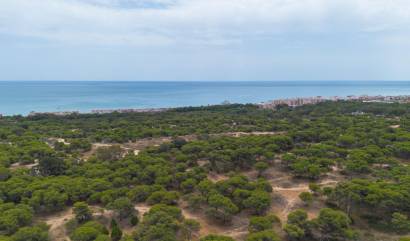 Bestaande woningen - Appartment - Guardamar del Segura - CENTRO