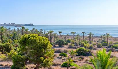 Bestaande woningen - Appartment - Orihuela Costa - Punta Prima