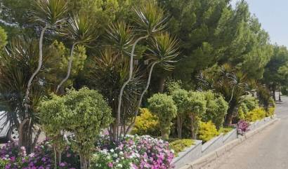 Bestaande woningen - Appartment - Orihuela Costa