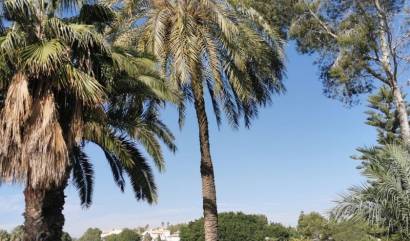 Bestaande woningen - Appartment - Orihuela Costa