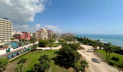 Bestaande woningen - Appartment - Torrevieja - Cabo Cervera