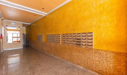Bestaande woningen - Appartment - Torrevieja - Estacion de autobuses