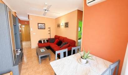 Bestaande woningen - Appartment - Torrevieja - Estacion de autobuses