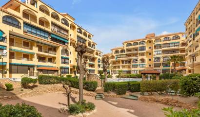 Bestaande woningen - Appartment - Torrevieja - La Mata