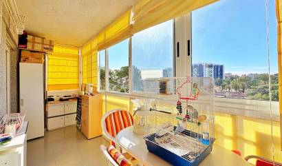 Bestaande woningen - Appartment - Torrevieja - Rocio del mar