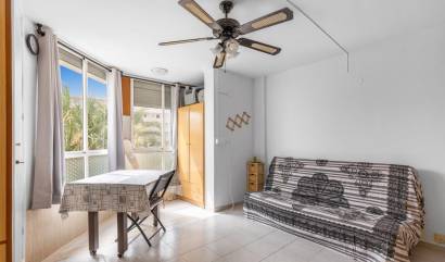 Bestaande woningen - Appartment - Torrevieja - Torreblanca