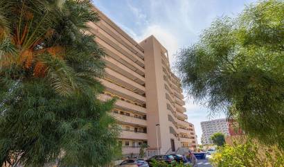 Bestaande woningen - Appartment - Torrevieja