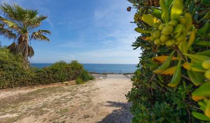 Bestaande woningen - Appartment - Torrevieja