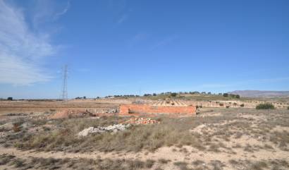 Bestaande woningen - Commercieel - Torre Del Rico