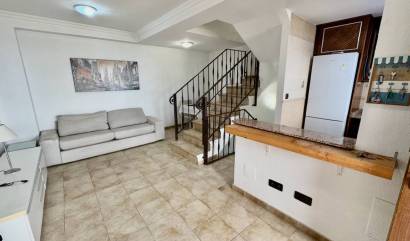 Bestaande woningen - Herenhuis - Guardamar del Segura