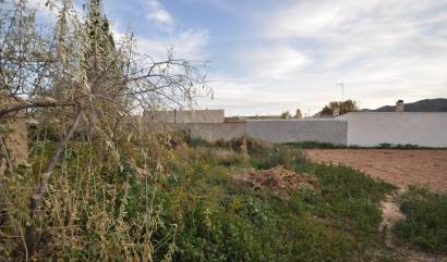 Bestaande woningen - Herenhuis - La Canalosa