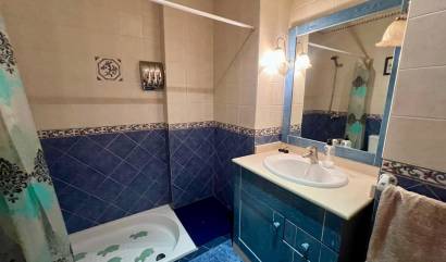 Bestaande woningen - Herenhuis - Pinoso