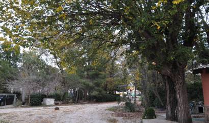 Bestaande woningen - Herenhuis - Pinoso