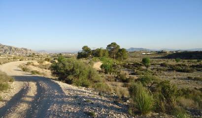 Bestaande woningen - Land - Abanilla