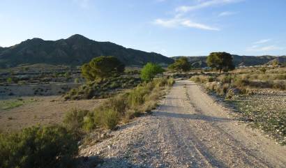 Bestaande woningen - Land - Abanilla