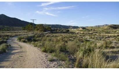 Bestaande woningen - Land - Abanilla