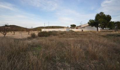 Bestaande woningen - Land - Canada del Trigo