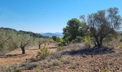 Bestaande woningen - Land - Casas del Senor