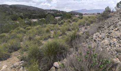 Bestaande woningen - Land - Chinorlet