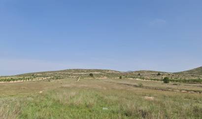 Bestaande woningen - Land - Jumilla