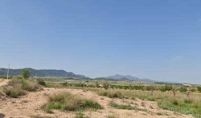Bestaande woningen - Land - Jumilla