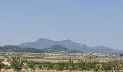 Bestaande woningen - Land - Jumilla