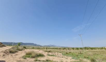 Bestaande woningen - Land - Jumilla