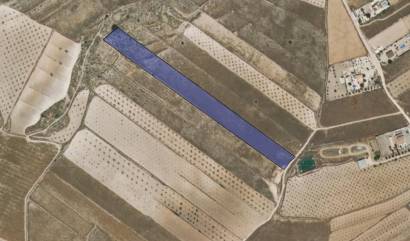 Bestaande woningen - Land - Jumilla