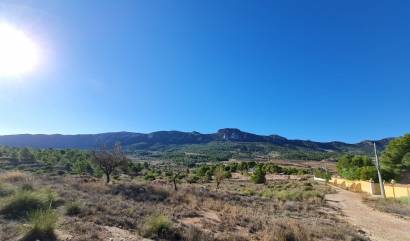 Bestaande woningen - Land - La Romana