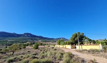 Bestaande woningen - Land - La Romana