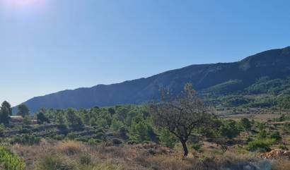 Bestaande woningen - Land - La Romana