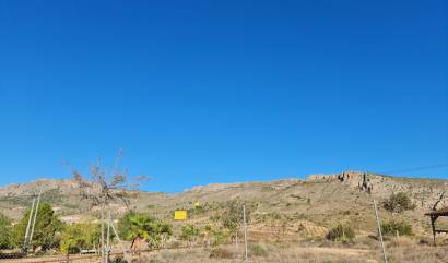 Bestaande woningen - Land - La Romana