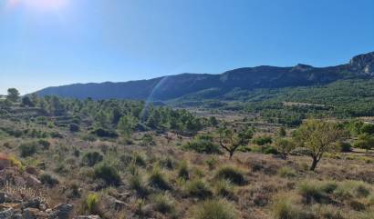 Bestaande woningen - Land - La Romana