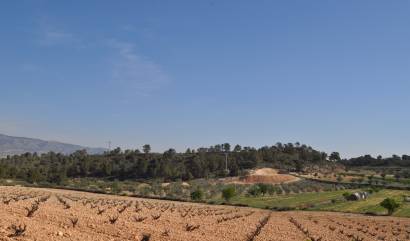 Bestaande woningen - Land - La Zarza