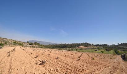 Bestaande woningen - Land - La Zarza