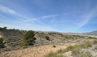 Bestaande woningen - Land - La Zarza