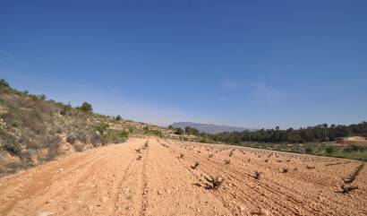 Bestaande woningen - Land - La Zarza