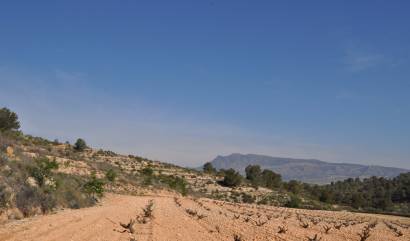 Bestaande woningen - Land - La Zarza