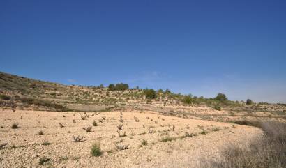 Bestaande woningen - Land - La Zarza