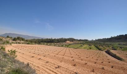 Bestaande woningen - Land - La Zarza