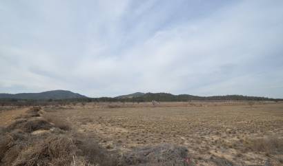 Bestaande woningen - Land - Monovar